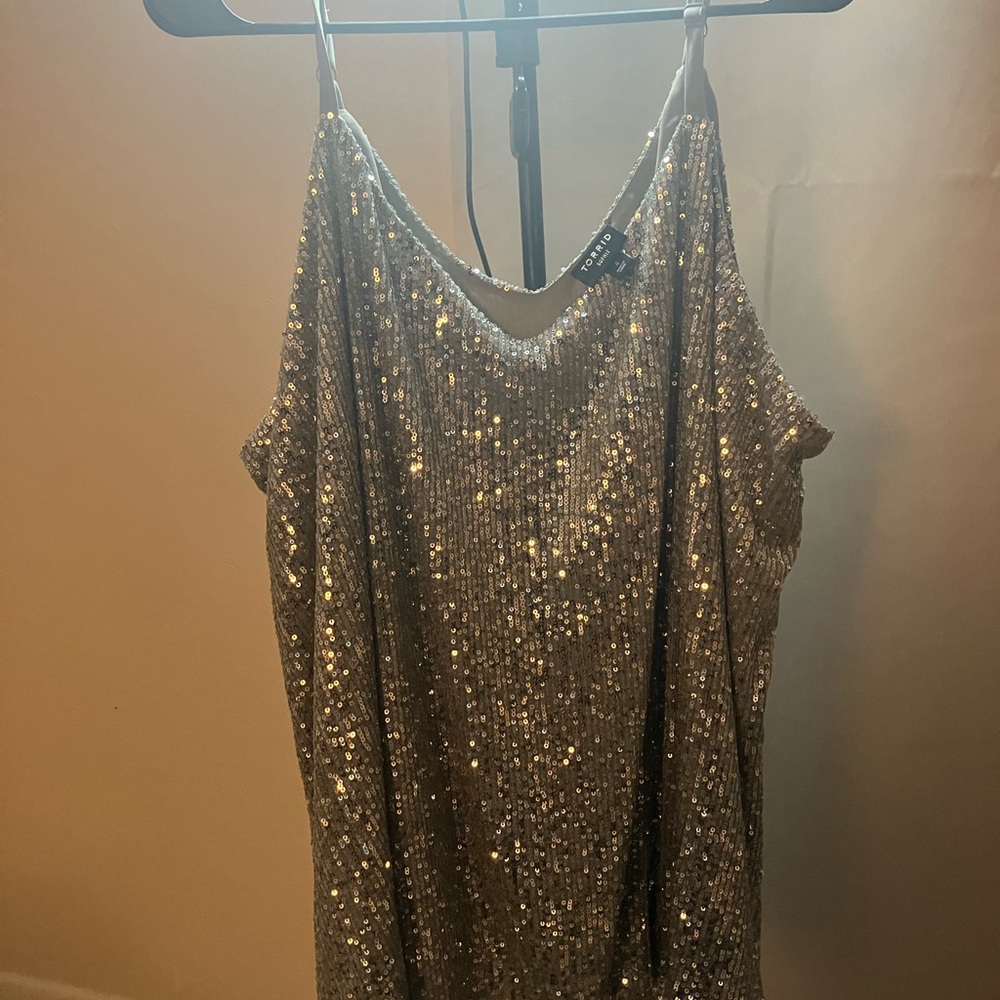 Torrid Silver Sequin Glam Top